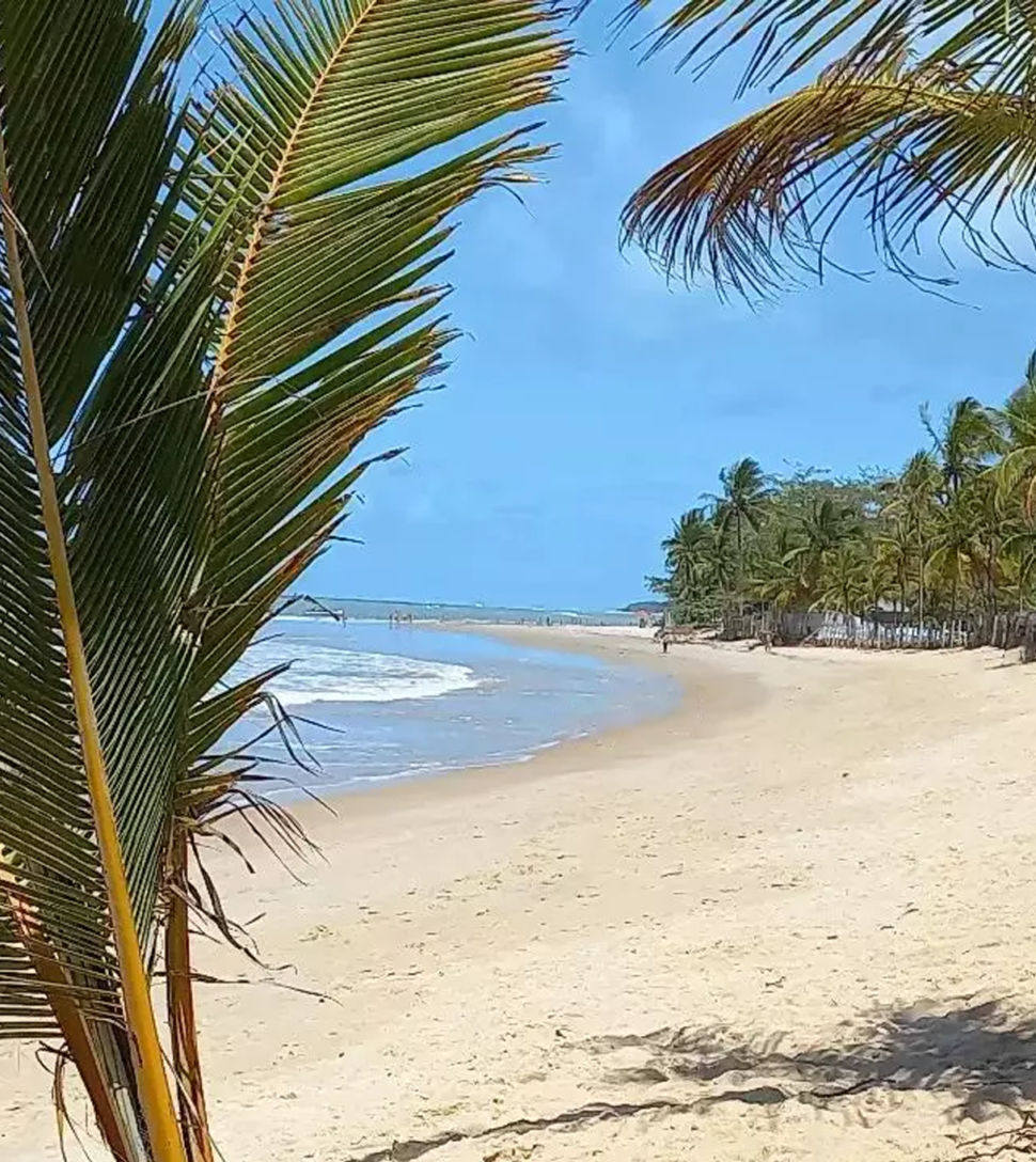 Praia-Coqueiros2