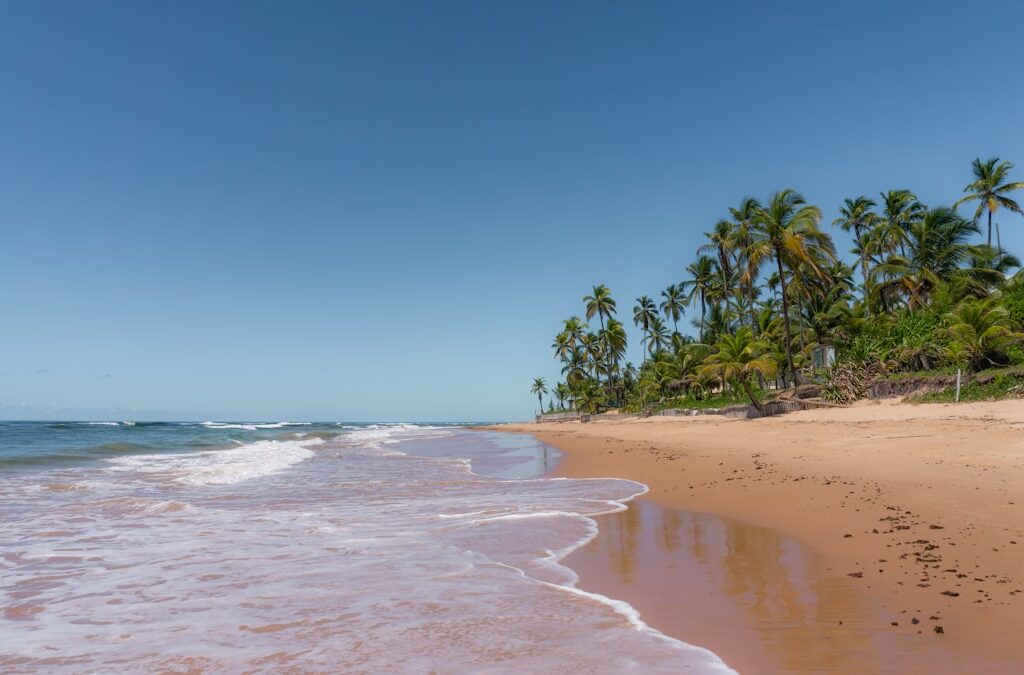 Praia dos Coqueiros: Por que Ela é uma das Mais Famosas de Trancoso